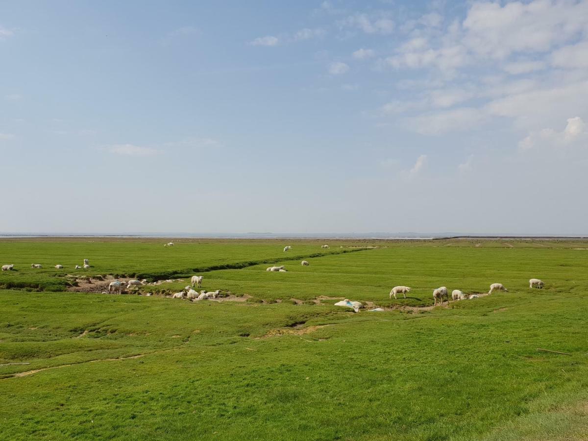 Kleines Haeuschen Am Deich, Vor Den Toren Von Sylt Villa Emmelsbull-Horsbull Luaran gambar