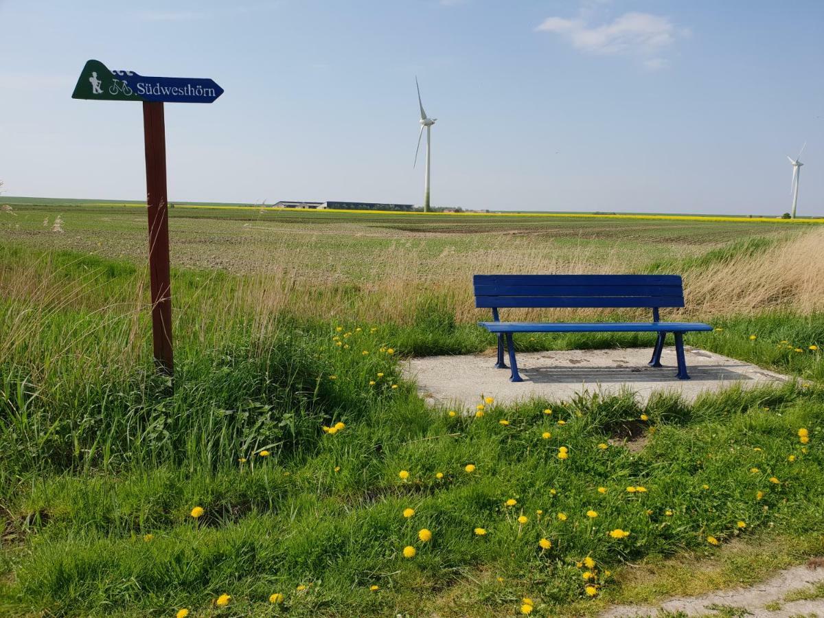Kleines Haeuschen Am Deich, Vor Den Toren Von Sylt Villa Emmelsbull-Horsbull Luaran gambar