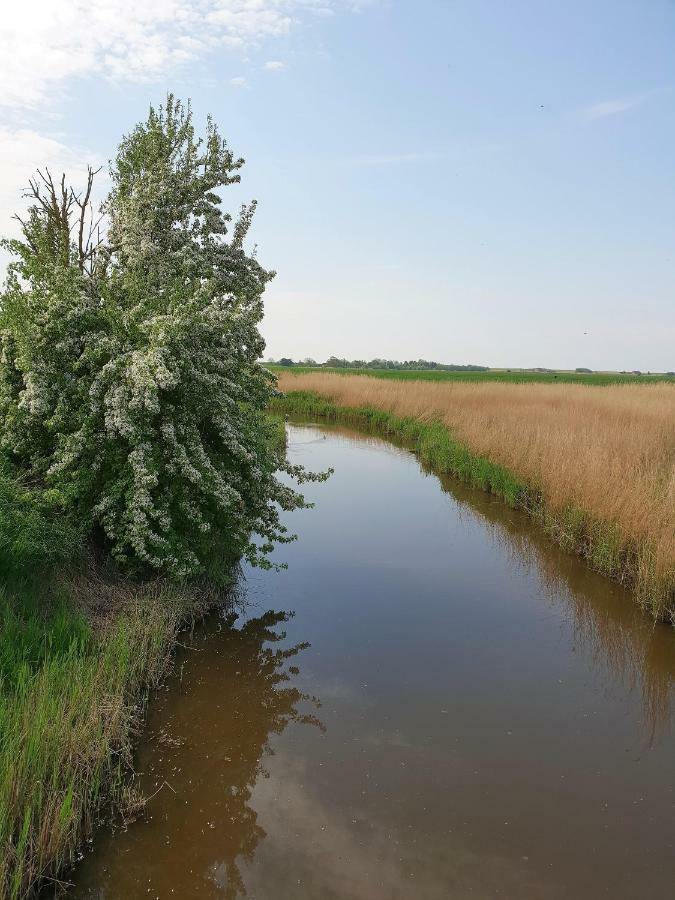 Kleines Haeuschen Am Deich, Vor Den Toren Von Sylt Villa Emmelsbull-Horsbull Luaran gambar